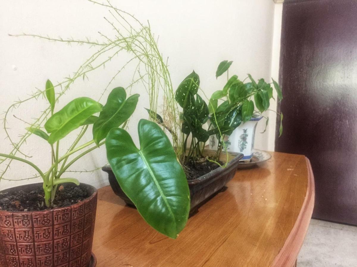 Little Cozy Homestay Kota Bharu Bagian luar foto