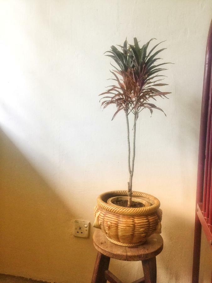 Little Cozy Homestay Kota Bharu Bagian luar foto